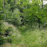 Rund um den Kulm bei Saalburg