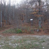 "Steiniger Weg" im ""