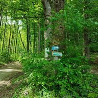 Abzweig zum Hochseilpark folgen