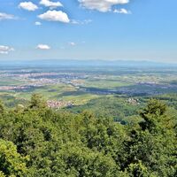 Blick auf das Rheintal vom Gipfel des Galtz