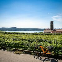 Blick auf die Weinberge und den Viverone-See