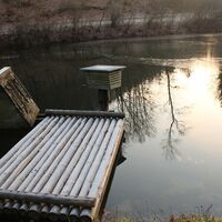 Feuchtbiotop in Unterkohlstätten