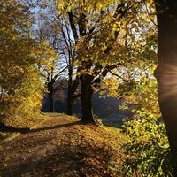 Herbst....