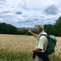 Quincunx Wanderweg Bebra Rotmilan 5