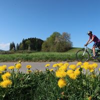 Im Buech - Bern nach Plaffeien