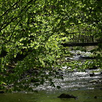 Elpebach in Ostwig