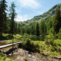 Holzbrücke am Bergsee