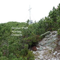 Großer Pfaff