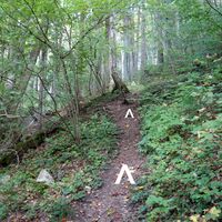 Aufstieg am Quellenweg