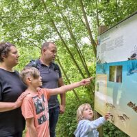 DSGVO Wüstenrot Dachsi Pfad Jun24 Trykowski 20 web