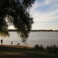 Hundebadestelle am Salzgittersee