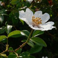 Wanderung der Fontanaride0012 @CDRP34