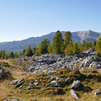 bei der Angeralm angekommen