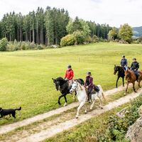 WanderreitenamMuehlviertlerReitwegenetzHerbst09_PferdereichMuehlviertlerAlmErber.jpg