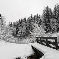 Scheffau_Winter-Rehbachrunde_Forstweg_Wilder Kaiser