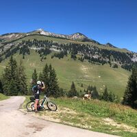 Blick von der Grabenbergalm auf Ackernalm und Hinteres Sonnwendjoch