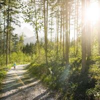 Einfacher Wanderspaß am Rauchbodenweg