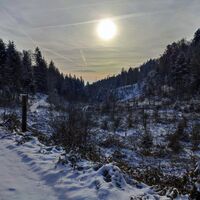 Tiessenbachtalgrund