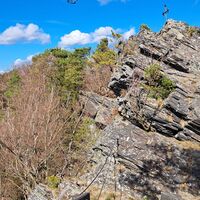 Buschandlwand
