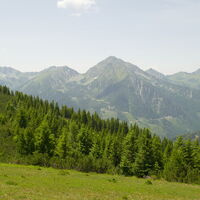 Panorama vom feinsten
