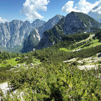 [ M.te Sciober grande ] Weiter am Weg 511 Richtung Sella Ursic