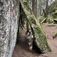 Rischinerwald