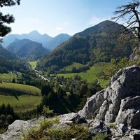 Nasswald