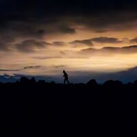 Einsamer Läufer in der Nacht
