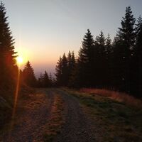 Sonnenaufgang am Weg nach Deutschfeistritz (c) Renata Kummer