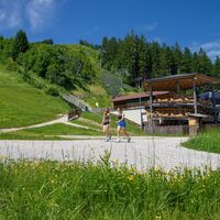 Panorama Allee Ramsau West