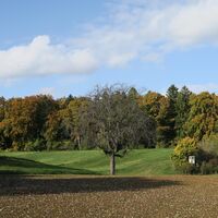 H chenschwand 5