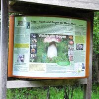 Pilzerlebnispfad - Infotafel Pilze