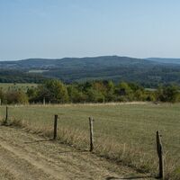 Naturschutzgebiet Wolferskopf