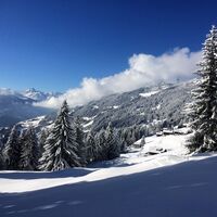 Ausblick