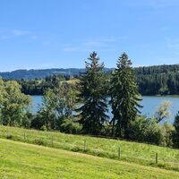 Niedersonthofen See
