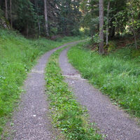 La comoda strada forestale