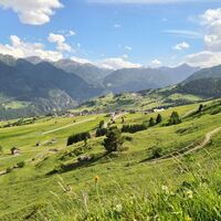 Landschaft im Sommer