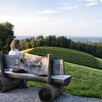 Aussicht Buschenschank Glirsch