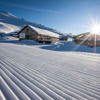 Alp da Munt