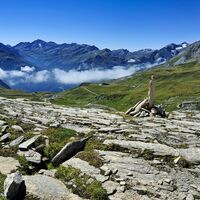 Im Hintergrund die Großglockner Hochalpenstrasse