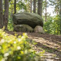 Heideschleife Müden Örtze Wanderweg