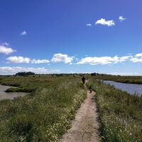 Rando des Salines0002 ©Gilles Delerue - ADT34