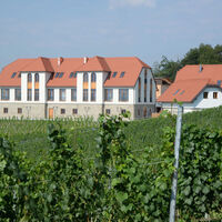 Heurigen-Restaurant Burg Taggenbrunn