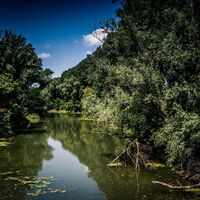 Wasserpark in der Tullner Au