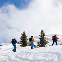 Beliebte Ski für Skitouren Einsteiger in Graubünden