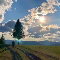 natur.Bank.wege - Freithofberg