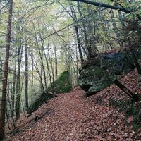 Oberhalb des Lambsbachs auf dem felsigen Weg unterwegs