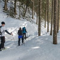 Wildschönau Schneeschuhwanderung