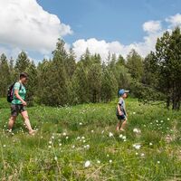Moorweg Wolzenalp