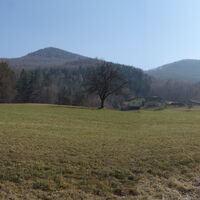 am Weg zum "Bertlsteig"